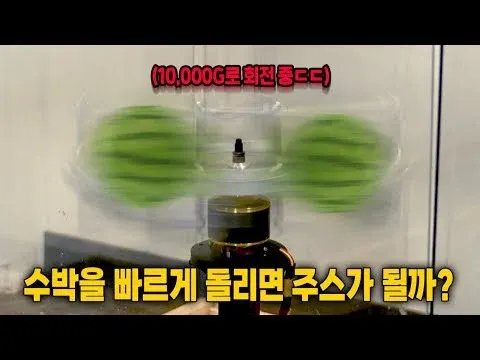 실험 · 검증